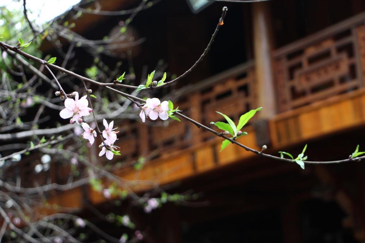 Maison Teahouse Homestay ها جيانج المظهر الخارجي الصورة