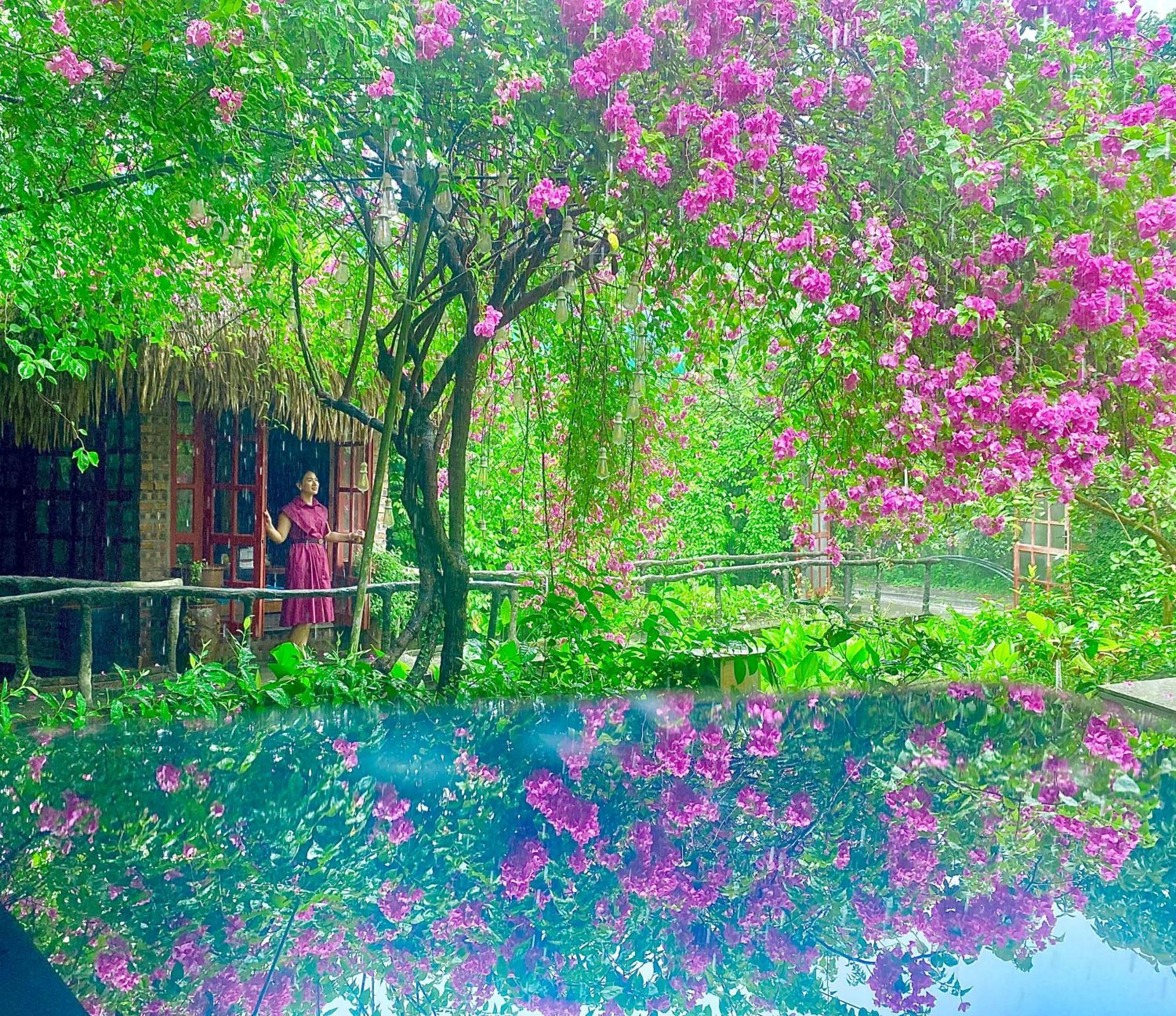 Maison Teahouse Homestay ها جيانج المظهر الخارجي الصورة